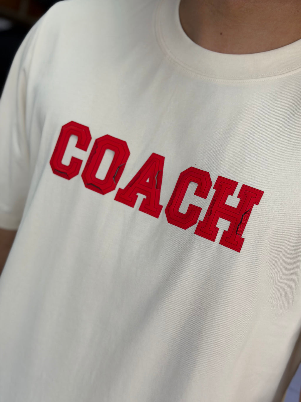 CAMISETA COACH ALTO GRAMAJE